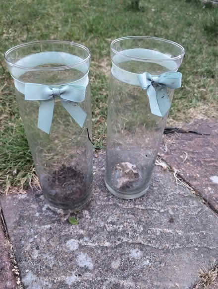 Photo of free 2 tall glass vases (BN1) #1