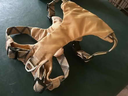 Photo of free Dog Harness, Large (West Belleville) #1