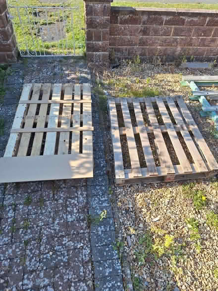 Photo of free 2 x pallets (Saltdean BN2) #1
