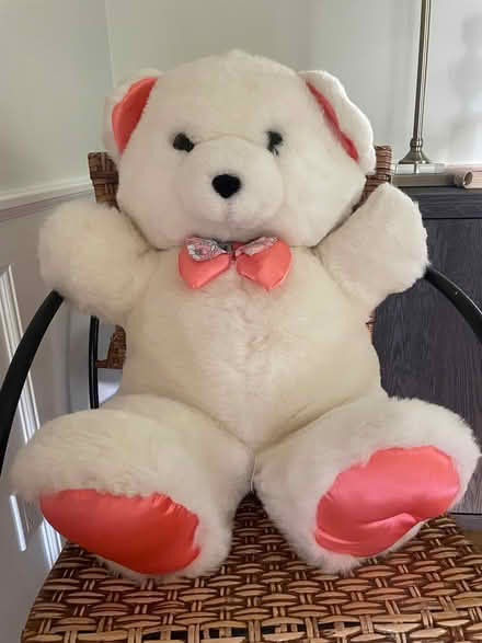 Photo of free Large Teddy Bear (Putnam Valley) #1