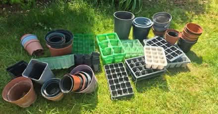 Photo of free Plant pots and seed trays (Westgate CT7) #1