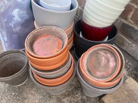 Photo of free Plant pots (West End, SO30) #2