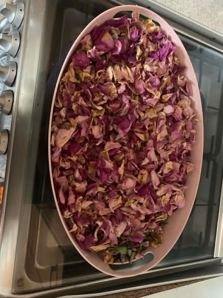 Photo of free Dried rose petals (Worcester Park KT4) #1