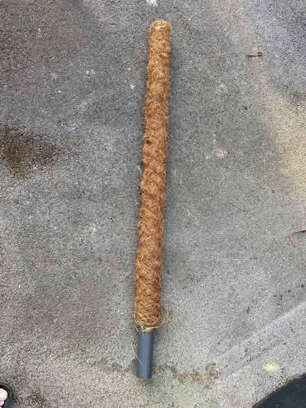 Photo of free Moss pole for climbing plant (Matlock DE4) #1