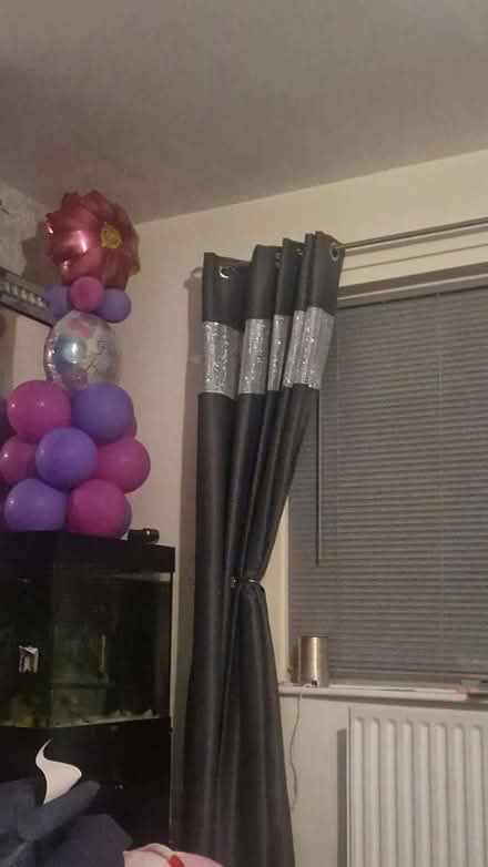 Photo of free Balloons #2 (Dukinfield SK16 5AF) #1