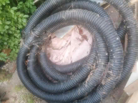 Photo of free Piping for French drain (Bramley LS13) #2