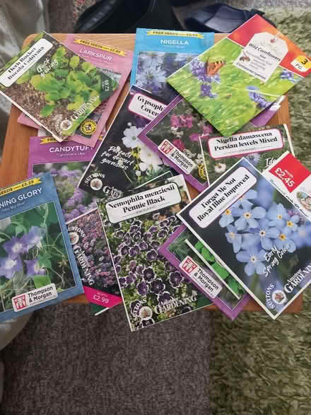 Photo of free Seeds (Aspley NG8) #1