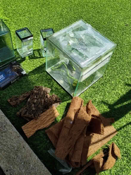Photo of free Mantis enclosures sw2 (Tulse Hill, SW2) #2
