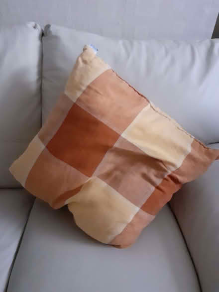 Photo of free Orange check cushion (Chatham ME4) #1