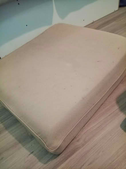 Photo of free Old sofa cushions x3 (Hulme, M15) #2