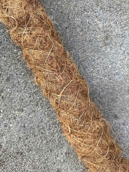 Photo of free Moss pole for climbing plant (Matlock DE4) #2