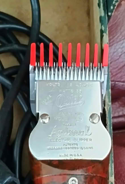 Photo of free Small animal clipper (Downtown Natick) #1