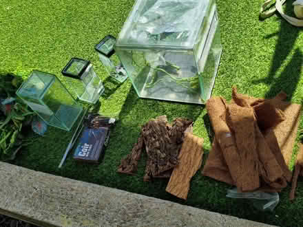 Photo of free Mantis enclosures sw2 (Tulse Hill, SW2) #1