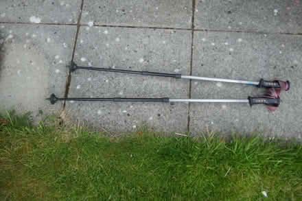 Photo of free Leki Makalu trecking poles (Arnold NG5) #1
