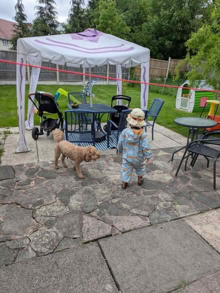 Photo of free Gazebo for repair (Wolverhampton WV10 6) #1