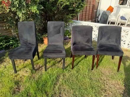 Photo of free Dining chairs (Croydon) #1