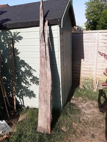Photo of Wood bits (Burgess hill) #1
