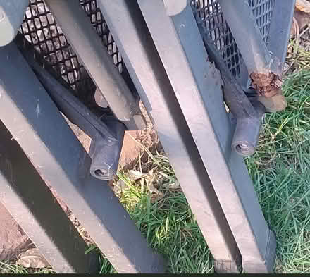 Photo of free 2 KETTLER garden reclining metal chairs (Wokingham RG40) #3