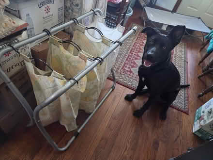 Photo of free Laundry Sorter (Ashland and River Street) #2