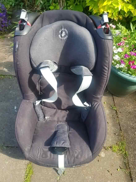 Photo of free Maxi cosi tobi car seat (WR9 7BH) #1