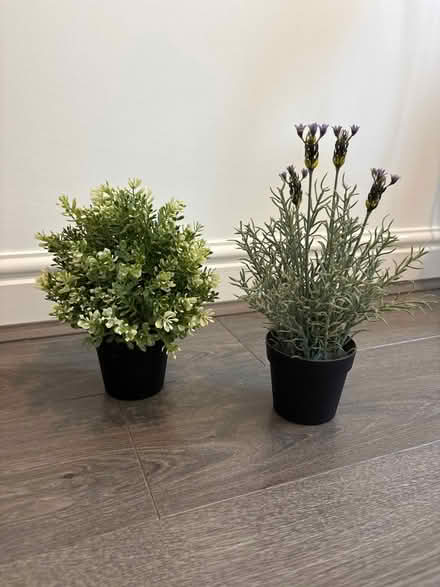 Photo of free Artificial plants (Witney OX28) #1