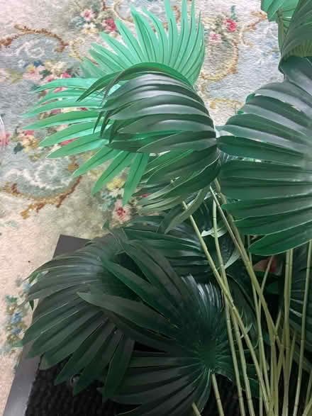 Photo of free Artificial out/in door palms (Clayton brook PR5 8) #4