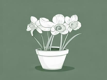 Photo of free Narcissus planter (Headington OX3) #1