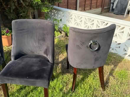 Photo of free Dining chairs (Croydon) #3