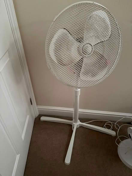 Photo of free Fan (Tooting SW17) #1