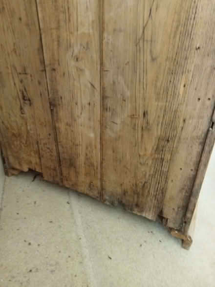 Photo of free Pine cupboard (Drayton PO6) #2