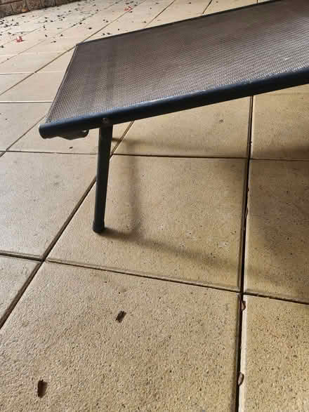 Photo of free Deck chair (Alfords point) #3
