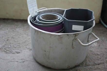 Photo of free an assortment of pots (Bray Seafront) #2