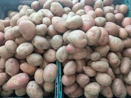 Photo of free 100s crates carrots potatoes (E14 Isle of Dogs) #2