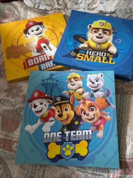 Photo of free Paw patrol Canvas (The Camp AL1) #1