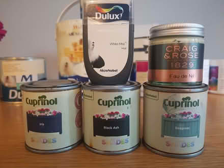 Photo of free paint (Croxley Green WD3) #3