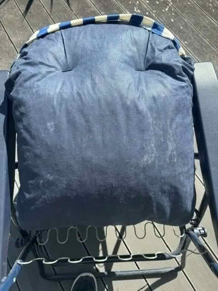 Photo of free Sun lounger and Cushion (Balcombe RH17) #3