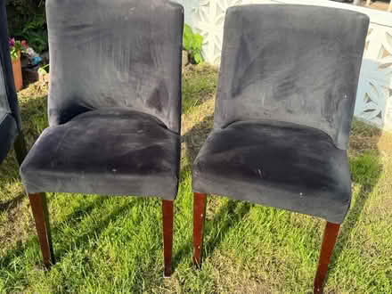 Photo of free Dining chairs (Croydon) #2