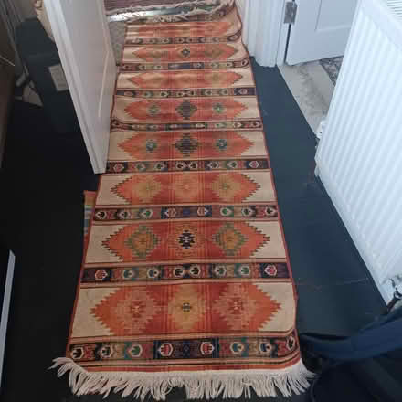 Photo of free Runner (Hailsham BN27) #1