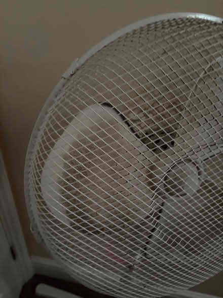 Photo of free Fan (Tooting SW17) #3