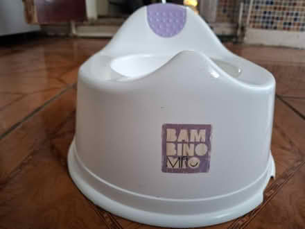 Photo of free Potty (South Norwood, SE25) #1