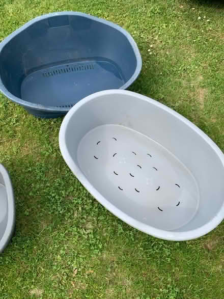 Photo of free Dog beds (Sutton valence ME17) #2