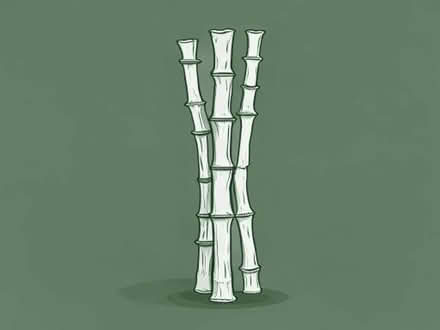 Photo of bamboo canes long (New Greens AL3) #1