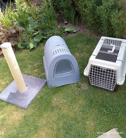 Photo of free Cat carrier, litter tray, scratch pole (Grove OX12) #1