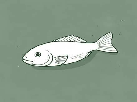 Photo of free Fish shaped mould for fish mousse (Ashover S45) #1