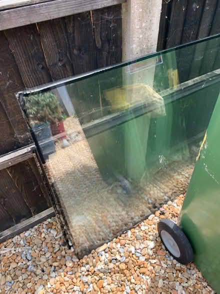 Photo of free Double glaze glass units (Sutton valence ME17) #1