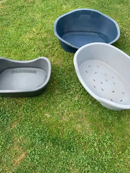 Photo of free Dog beds (Sutton valence ME17) #3