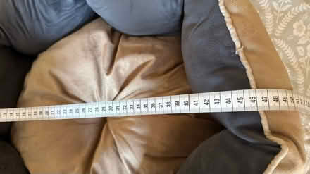 Photo of free Dog bed (Witton Gilbert) #3