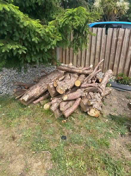 Photo of free logs (TN23) #1