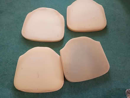 Photo of free Foam cushion centres (Bromham MK43) #1