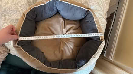 Photo of free Dog bed (Witton Gilbert) #2
